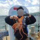 드들강물고기집 | [취미/낚시] 동해 묵호항(묵꼬양) 바다 체험낚시 후기 with 동해호