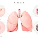 에스플란트치과병원 이미지