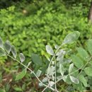 26.6.4연산역.배산.연산8치안센타.(혼산) 이미지