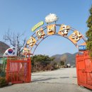 홍가네가마솥곰탕