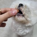 이룸병원 이미지