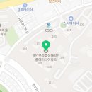 고양이미용 캣어스 이미지