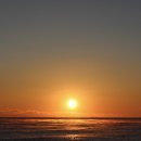 울진대게궁7호 이미지