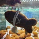 영통킹오락실 이미지