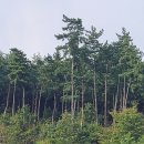 2023년9월23일 토요일 서해랑길 64-2 지선길을 다녀와서! 이미지