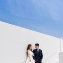비비엔다 스튜디오 촬영드레스 후기 : 오간자 실크드레스, 피치핑크드레스