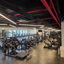 다짐휘트니스 이미지