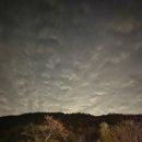 금수문화공원야영장(1) 이미지