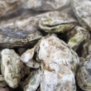 석화목장 이미지