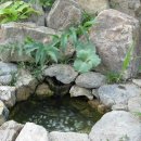 옹달샘 농장 이미지