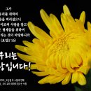 PICTURE&TEXT_20241103_우리는 사랑입니다!_요한일서 3장 16절_오순절 후 스물네 번째 주일 묵상_우리 교회 국화의 빛 이미지