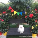 멍스토리 이미지