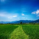 농업회사법인하나주식회사 이미지