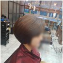 새봄디자인 이미지