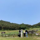 파랑새제과 이미지