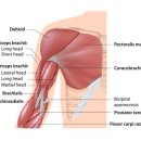 온세한의원 이미지