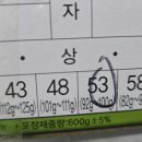 마감)보성골드키위 판매 이미지