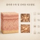 비비피부관리
