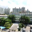 강남-130 동아일보