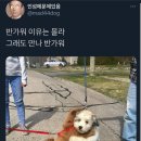만나 이미지