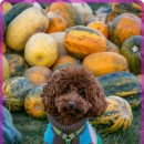 베스트메디칼 이미지