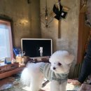 린넨 핸드메이드 의류 제작 | 나만의 옷을 만드는 곳｜경주 안강읍 수제 옷가게 ‘작은언니’ 후기