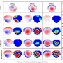 [시각적 단어 재인_ERP] Hauk et al.(2005) The time course of visual word recognition as revealed...
