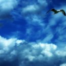 하늘노래소리 Ⅰ 이미지