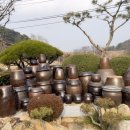 아리랑로 | 라떼 감성 가득한 익산 금마 솔내음 옛날 돈까스 레트로 식당