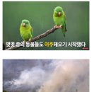 오랜지