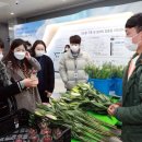 블루향기