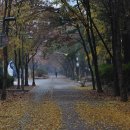 소향공원 이미지