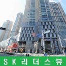 SK 이미지
