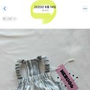 널독