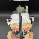 커스텀기공소 이미지