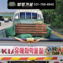 묵동-031 이미지