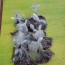 양일농장 이미지