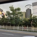 벨리노에스호텔 - 용인시 기흥구 용구대로 2361 | 벨리노에스호텔