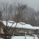 곰배령올레 이미지