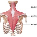 더멋짐피트니스 이미지