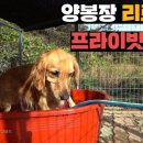 초원복국 이미지