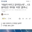 서학개미 순매수 1위 '써클'… 평균 수익률 -34% 이미지