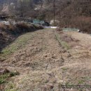 종만농장 이미지