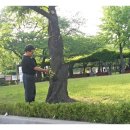 안중근공원 이미지