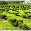 수종목장 이미지