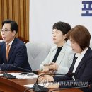 대해 이미지
