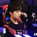 팀왕호 이미지