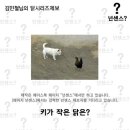 넌센스 이미지