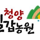 청양청정구기자농장