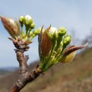 우리맛고을 이미지